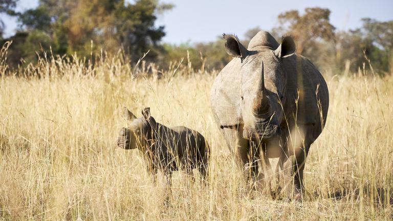 Palmwag Nature Reserve.jpg
