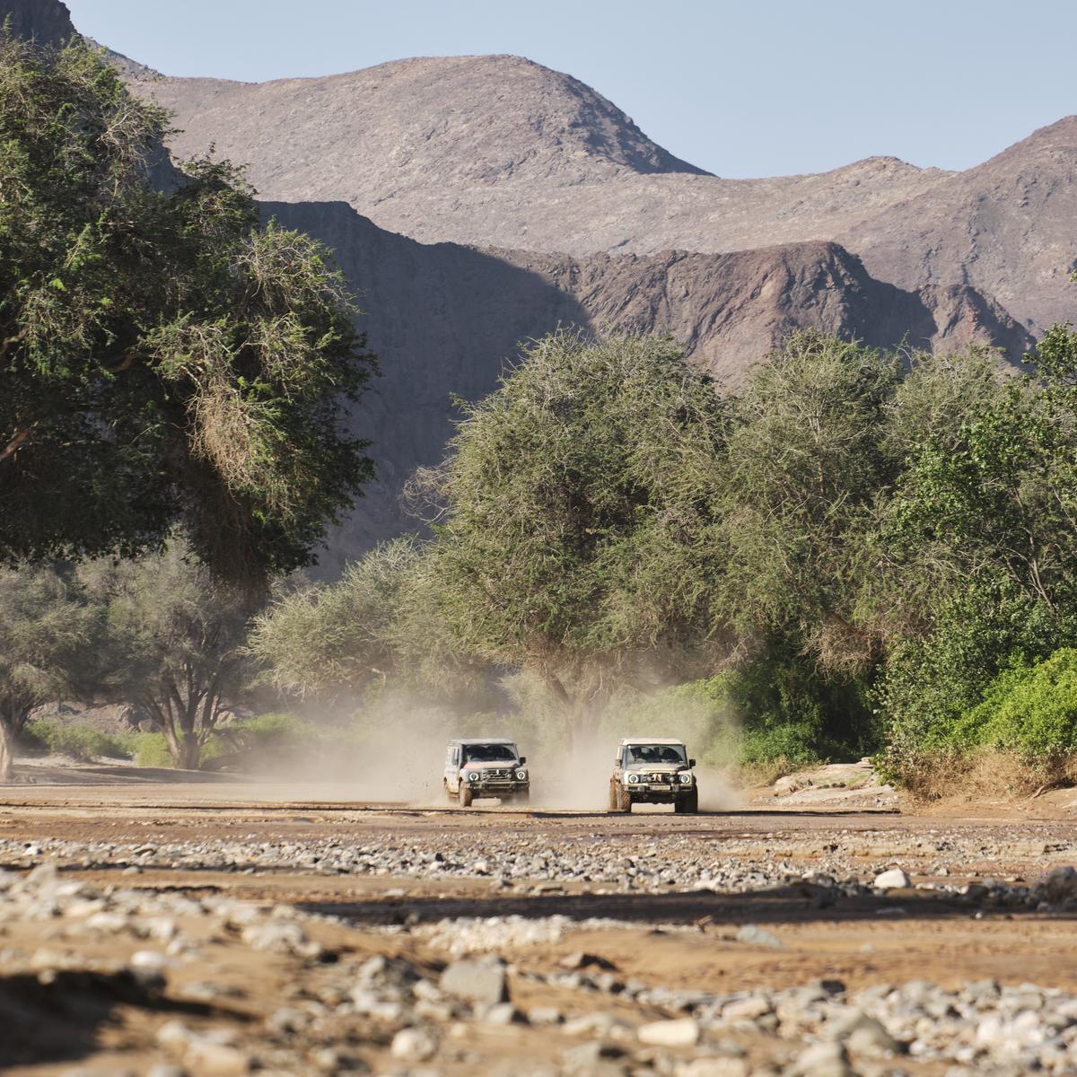 Grenadier_Namibia