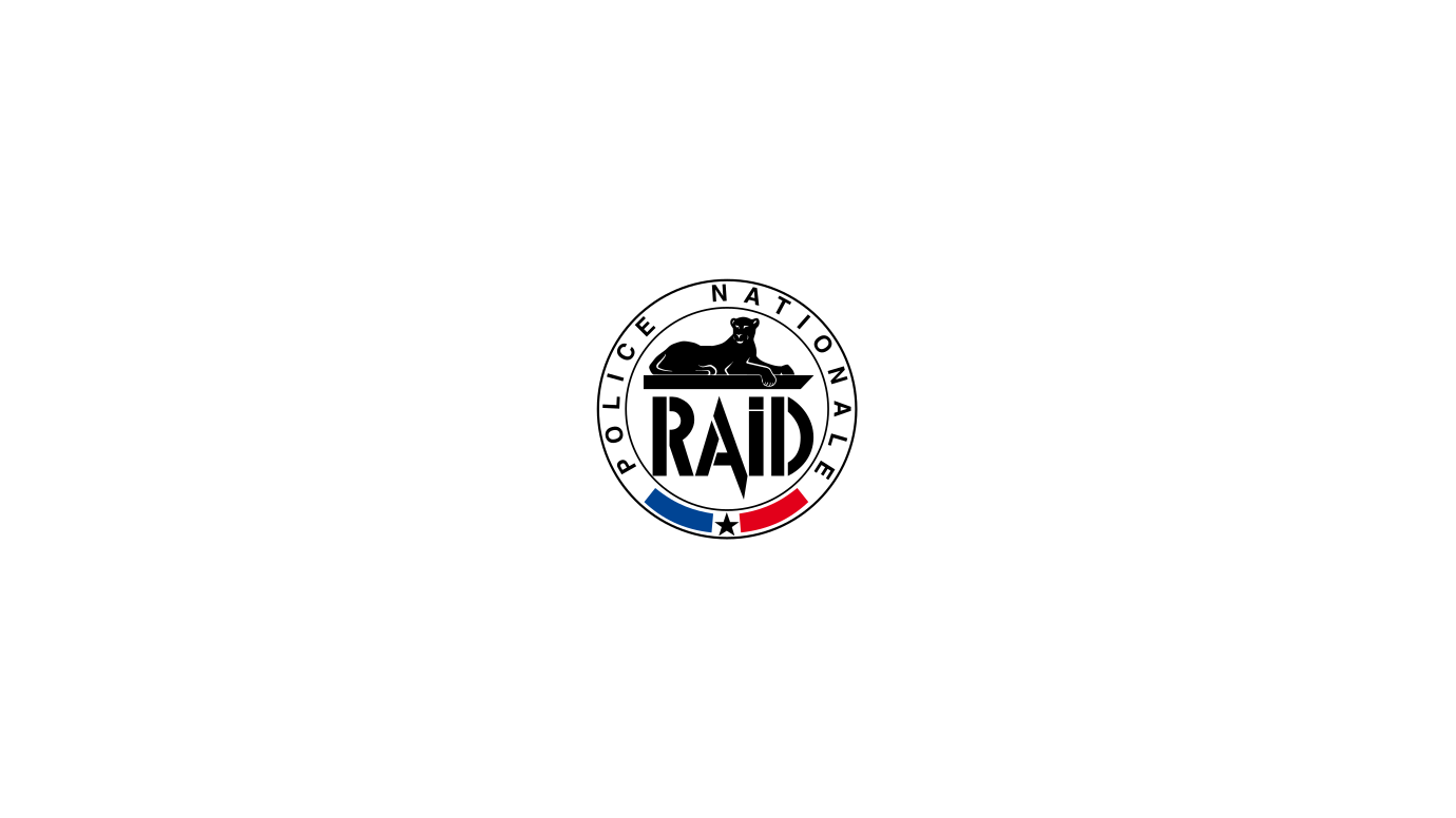 RAID logo