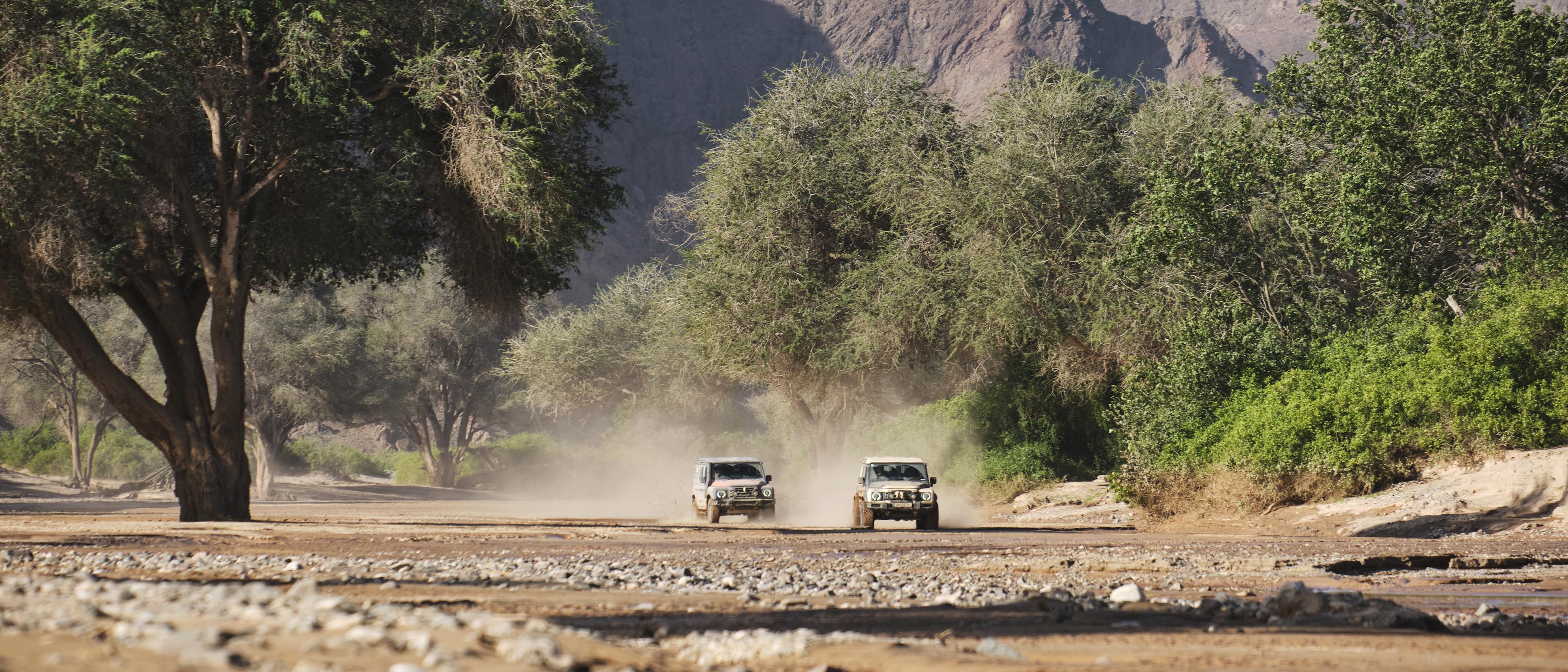 Grenadier_Namibia