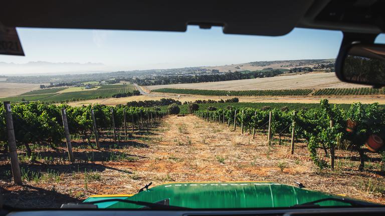 Wineland Hotspot.jpg